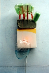 https://www.hesterslingenberg.nl:443/files/gimgs/th-1_vis-in-landschap,2001.jpg