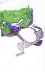 https://www.hesterslingenberg.nl:443/files/gimgs/th-1_zwemmend-konijn,2006.jpg